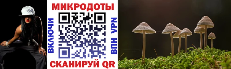Купить где  Грязи  Псилоцибиновые грибы мухоморы 