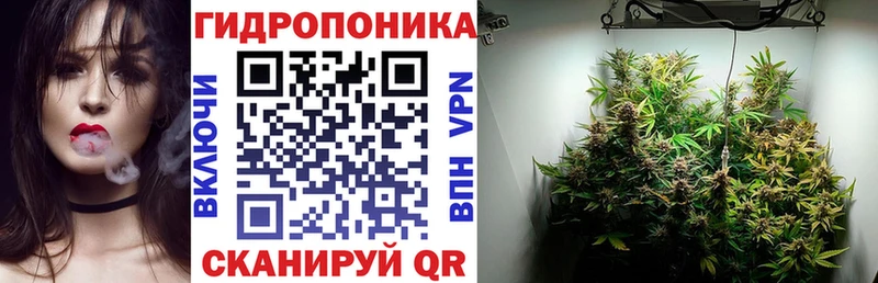 МАРИХУАНА индика  Купить закладки  Грязи 